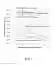 Fig. 08 - Composite magnetic sealing material