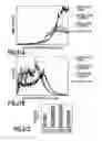 Fig. 22 - Image processing apparatus and image processing method