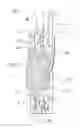 Fig. 01 - Camera device and terminal having same