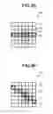Fig. 10 - Image processing apparatus, image processing method, and computer-readable recording medium