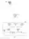 Fig. 04 - Object reconstruction in disparity maps using displaced shadow outlines