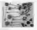 Fig. 03 - Ranunculus asiaticus 'ABULANJI'