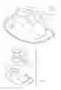 Fig. 02 - SANITARY PET FEEDING SYSTEM