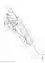 Fig. 02 - Fishing rod grip