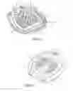 Fig. 02 - IMPROVEMENTS IN AND RELATING TO HORSESHOES