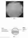 Fig. 02 - COMPOSITIONS AND METHODS FOR DUAL-TEXTURE BUBBLE BITS
