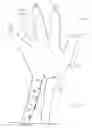 Fig. 08 - GARMENT