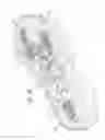 Fig. 35 - Motorized shoe with gesture control