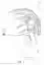 Fig. 02 - Hair Styling Device and Method