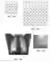 Fig. 07 - RADIATION DETECTOR AND RADIOGRAPHIC IMAGING DEVICE