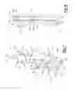 Fig. 06 - Rib reconstruction device