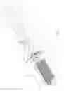 Fig. 02 - Electric motorized toothbrush with rotating spindles
