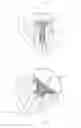 Fig. 07 - Heart valve assembly
