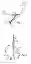 Fig. 02 - Sacroiliac joint immobilization