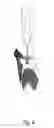 Fig. 09 - Joint prosthesis with removal device