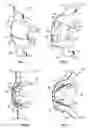 Fig. 02 - KNEE BRACE