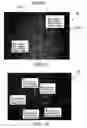 Fig. 07 - Phase change material for thermal therapy and delivery of active ingredients