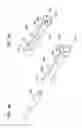 Fig. 40 - Packaged body adhering absorbent article
