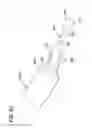 Fig. 52 - Packaged body adhering absorbent article