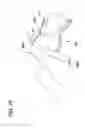 Fig. 65 - Packaged body adhering absorbent article