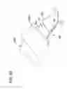 Fig. 82 - Packaged body adhering absorbent article