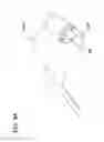 Fig. 84 - Packaged body adhering absorbent article