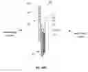 Fig. 20 - Absorbent pant with advantageously channeled absorbent core structure and bulge-reducing features