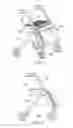 Fig. 02 - Collapsible rolling walker