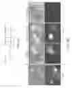 Fig. 09 - DYE-STABILIZED NANOPARTICLES AND METHODS OF THEIR MANUFACTURE AND THERAPEUTIC USE