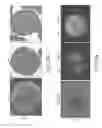 Fig. 43 - DYE-STABILIZED NANOPARTICLES AND METHODS OF THEIR MANUFACTURE AND THERAPEUTIC USE