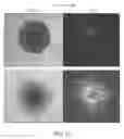Fig. 45 - DYE-STABILIZED NANOPARTICLES AND METHODS OF THEIR MANUFACTURE AND THERAPEUTIC USE