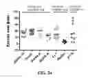 Fig. 35 - Histone acetyltransferase activators and compositions and uses thereof