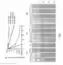 Fig. 08 - Synergistic composition comprising propolis and carnosic acid for use in the prevention and treatment of candidiasis