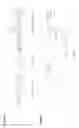 Fig. 13 - Liposomal particles comprising biological molecules and uses thereof