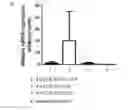 Fig. 01 - Optimized RPE65 promoter and coding sequences
