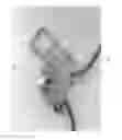 Fig. 01 - Descender