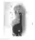 Fig. 08 - Descender