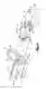 Fig. 03 - Breaching assist tool