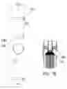 Fig. 02 - MEMBRANE ASSEMBLY WITH END CAP DEVICE AND RELATED METHODS