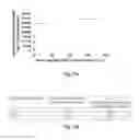 Fig. 09 - Aminoglycoside hydrogel microbeads and macroporous gels with chemical crosslink, method of preparation and use thereof