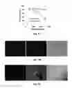 Fig. 12 - Aminoglycoside hydrogel microbeads and macroporous gels with chemical crosslink, method of preparation and use thereof