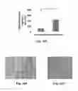 Fig. 19 - Aminoglycoside hydrogel microbeads and macroporous gels with chemical crosslink, method of preparation and use thereof