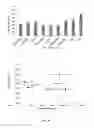 Fig. 27 - Aminoglycoside hydrogel microbeads and macroporous gels with chemical crosslink, method of preparation and use thereof