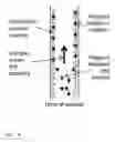 Fig. 06 - ASSAY DEVICES, METHODS FOR CARRYING OUT ASSAYS, ASSAY KITS AND METHOD FOR MANUFACTURING ASSAY DEVICES