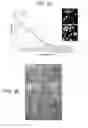 Fig. 06 - System and method for a biomimetic fluid processing