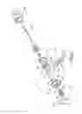 Fig. 06 - Steering-switching and hands-changing assembly for a pneumatic tool