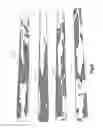 Fig. 06 - Marbled Grip
