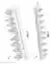 Fig. 08 - Printer with particle diverting