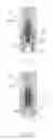 Fig. 09 - CARBON FIBER SPOKE