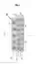 Fig. 03 - RADIAL TIRE HAVING AN IMPROVED BELT STRUCTURE
